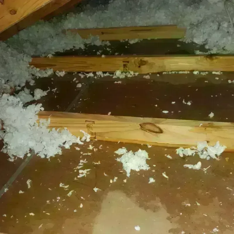 Attic Water Damage in Kenton, OH