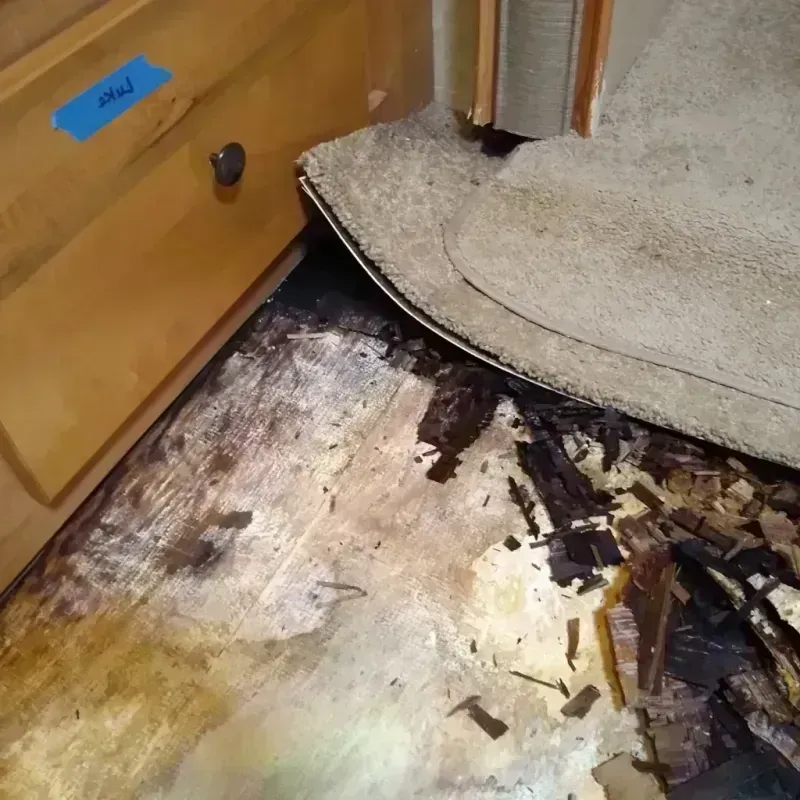 Wood Floor Water Damage in Kenton, OH